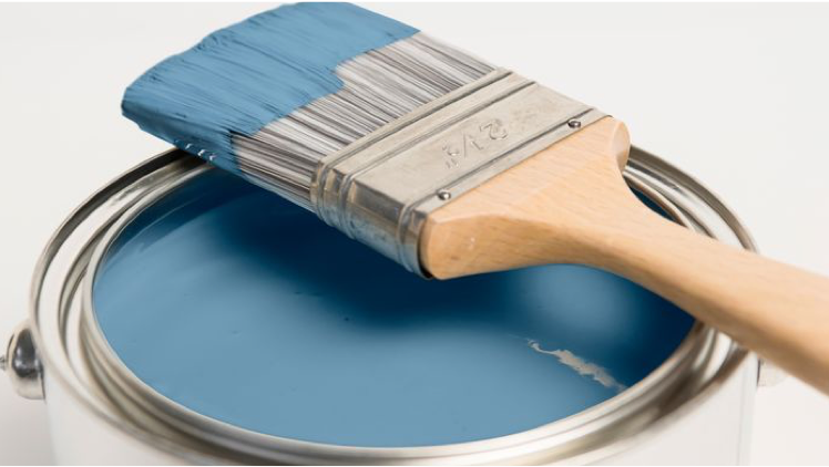 Find the Correct Product from Colourland 